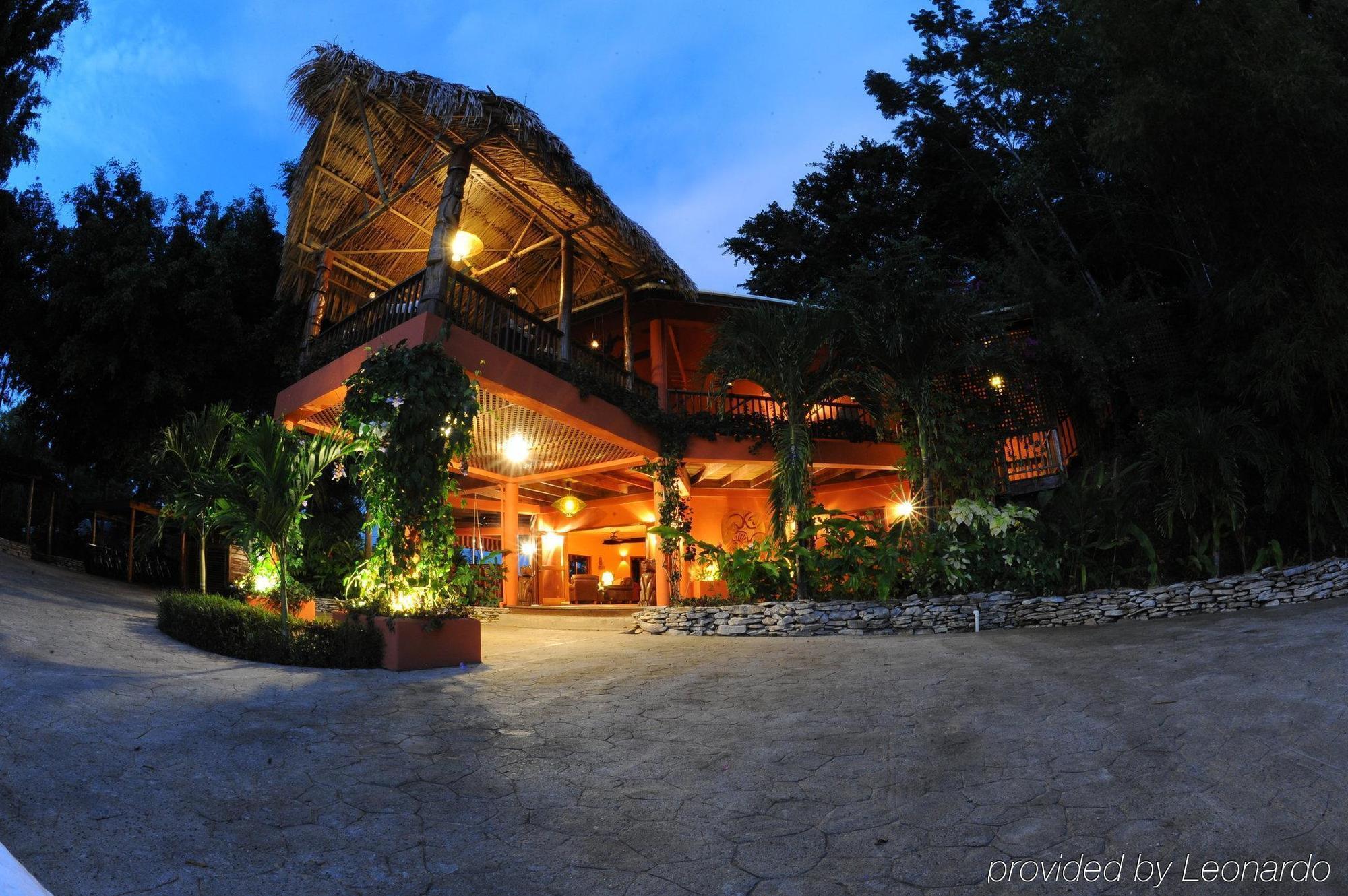 Machaca Hill Rainforest Canopy Lodge Punta Gorda Exteriér fotografie