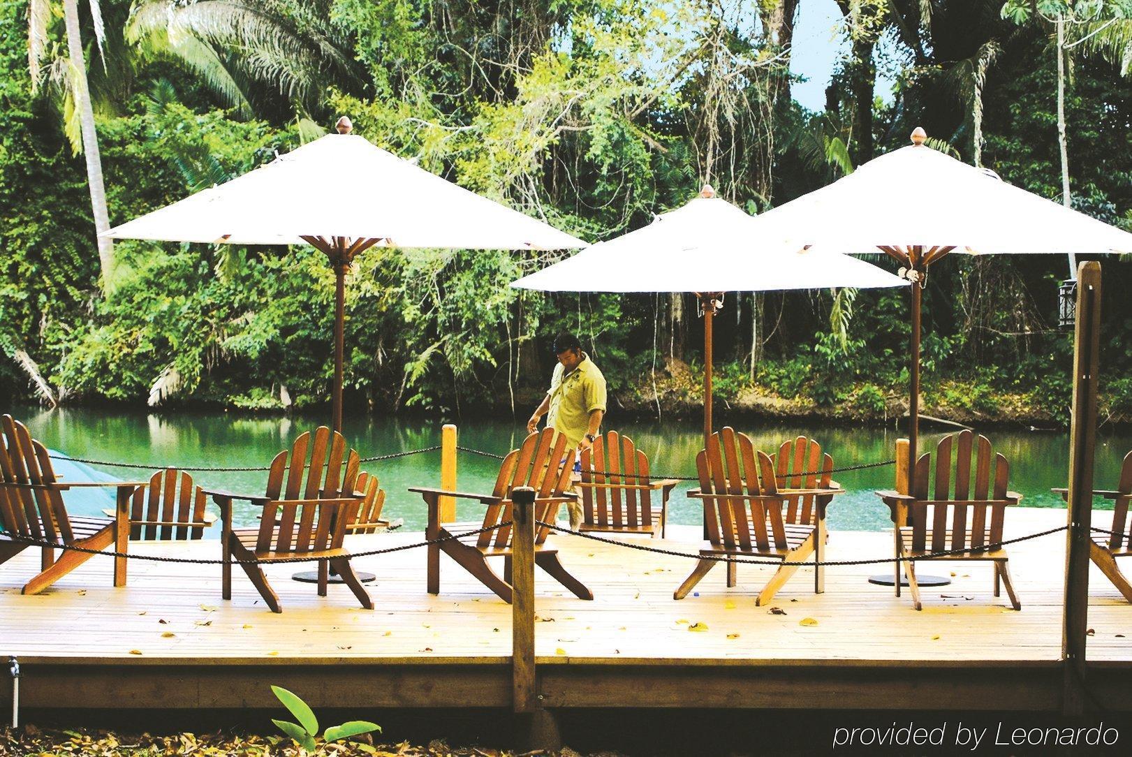 Machaca Hill Rainforest Canopy Lodge Punta Gorda Exteriér fotografie