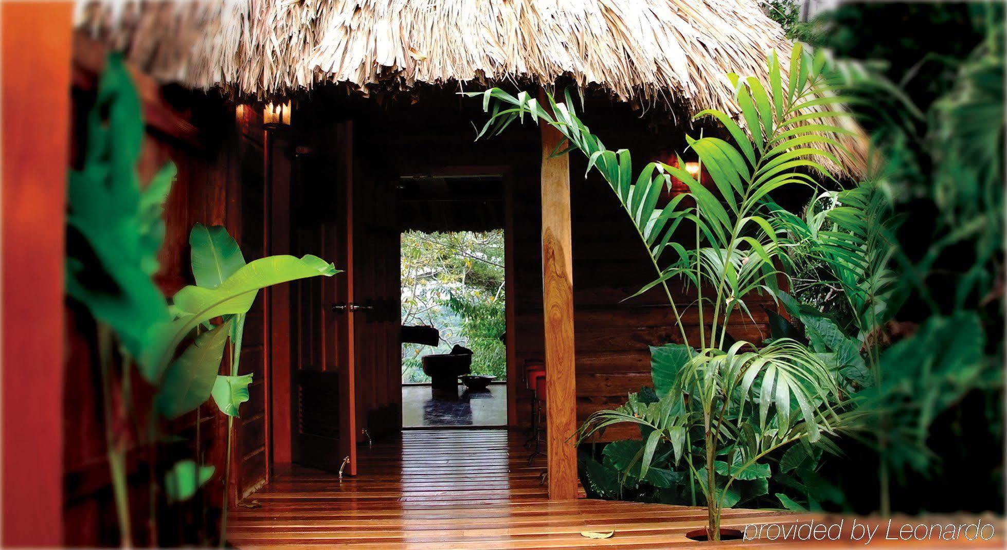 Machaca Hill Rainforest Canopy Lodge Punta Gorda Exteriér fotografie